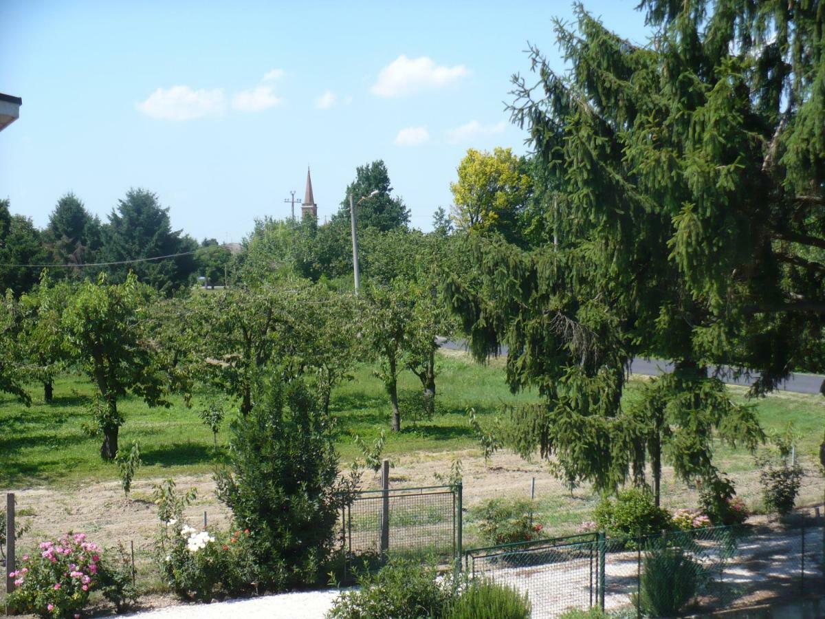 Bed and Breakfast L'Albero Della Gioia Villanova sull'Arda Экстерьер фото